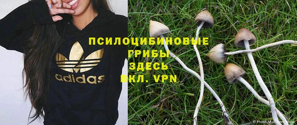 СК Киселёвск