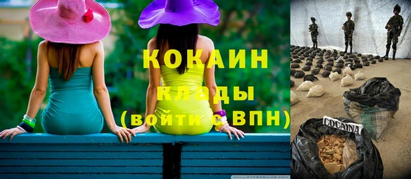 крисы Новокубанск