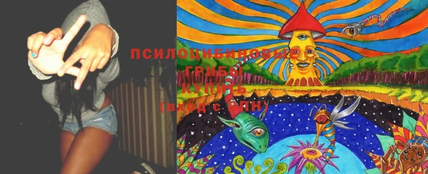 MDMA Гусев