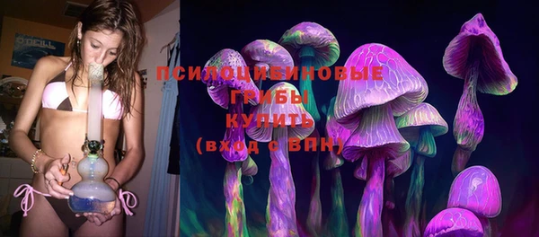 Альфа ПВП Гусиноозёрск