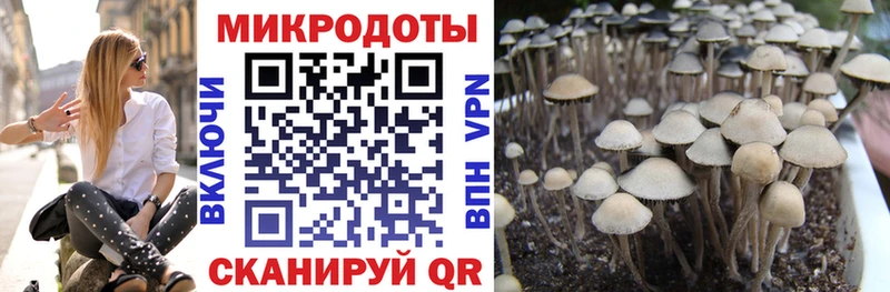 Псилоцибиновые грибы ЛСД  Омутнинск 